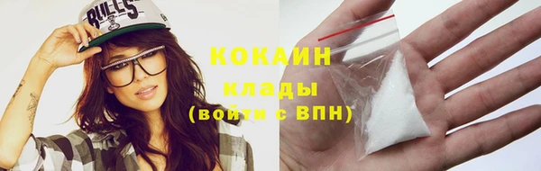 МДПВ Абаза