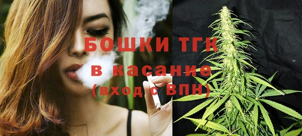 МДПВ Абаза
