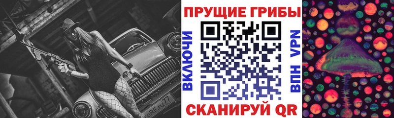 Псилоцибиновые грибы Psilocybine cubensis Чегем