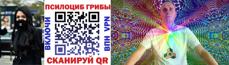 Галлюциногенные грибы Psilocybe  наркотики  Чегем 